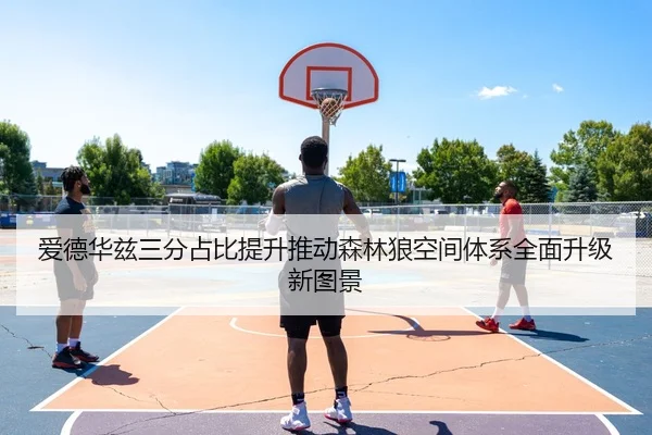 爱德华兹三分占比提升推动森林狼空间体系全面升级新图景